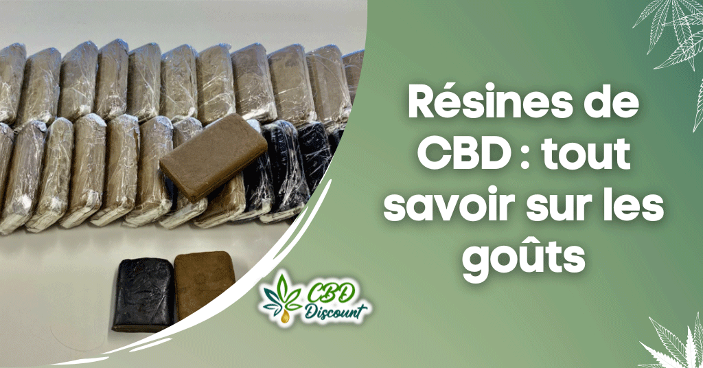 R Sines De Cbd Tout Savoir Sur Les Go Ts Cbddiscount Fr