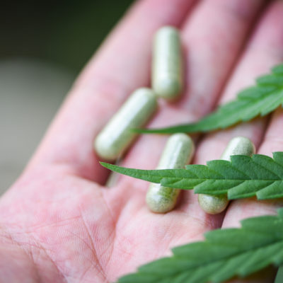 Le cannabis laisse la plante de marijuana à la main et la feuille de chanvre en capsule