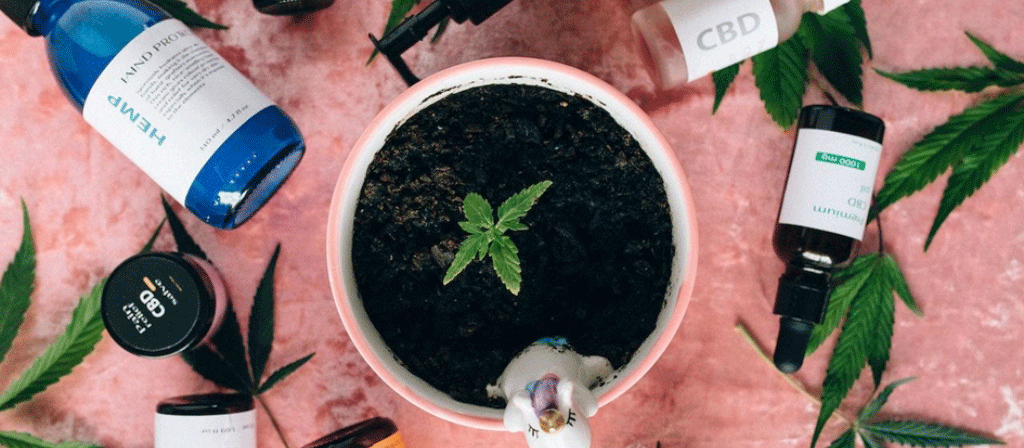 huile cbd sur bouteilles avec baume et feuilles de chanvre et plante sur un pot