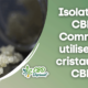 Isolate de CBD : Comment utiliser les cristaux de CBD ?