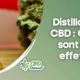Distillat de CBD : Quels sont ses effets ?
