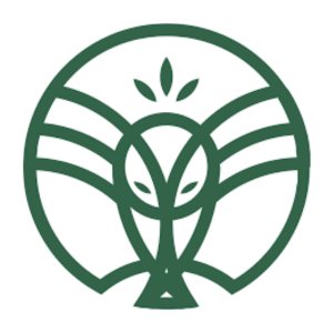 magasin green owl logo