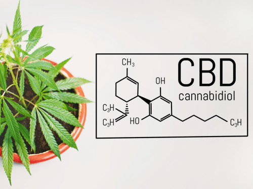 Feuilles de chanvre avec structure chimique CBD, formule cannabis CBD