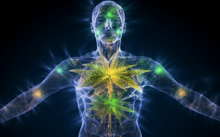Une représentation vibrante du corps humain orné de feuilles de cbd lumineuses, créant un mécanisme hypnotique et enchanteur.